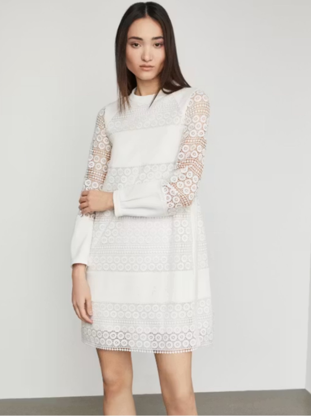 BCBGMAXZARIA Cycle Lace Shift Dress In Ivory Size 6
